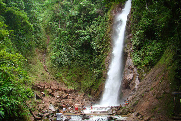 Tour Peru Selva Central Básico